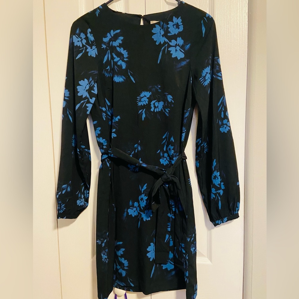 H&M Women Black dress with blue floral prints